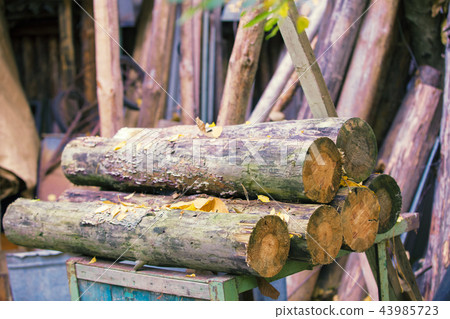 a pile of pine logs in the yard a pile of pine logs in the yard 43985723