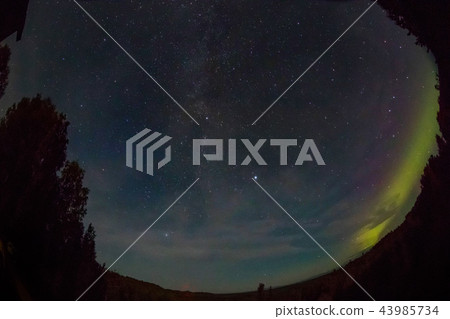 Aurora of the aurora of fall Aurora Alaska autumn Aurora of the aurora of fall Aurora Alaska autumn 43985734