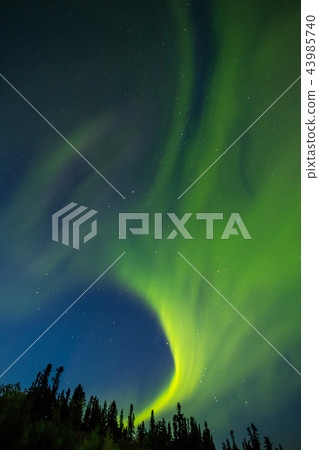 Aurora of the aurora of fall Aurora Alaska autumn Aurora of the aurora of fall Aurora Alaska autumn 43985740