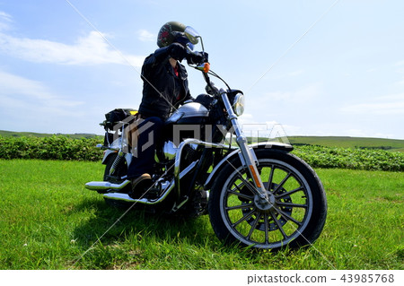 草地和自行車 43985768