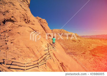 Sandstone rocks in Timna park, Israel Sandstone rocks in Timna park, Israel 43986005