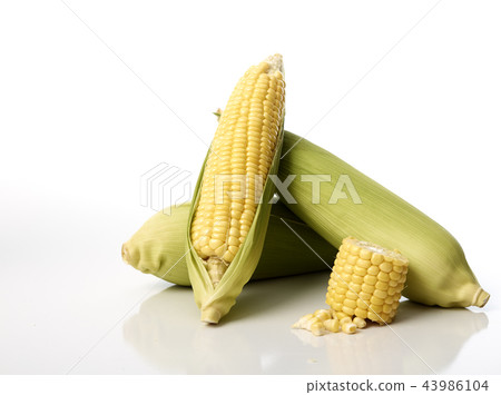 Three corn cobs with husks Three corn cobs with husks 43986104