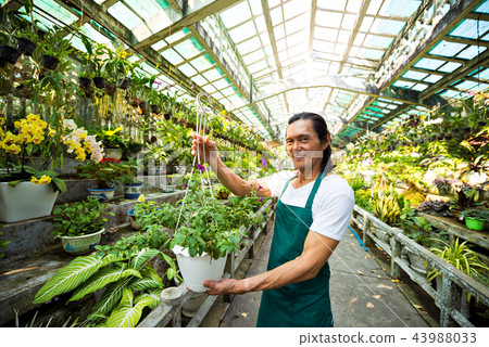Happy orangery worker Happy orangery worker 43988033
