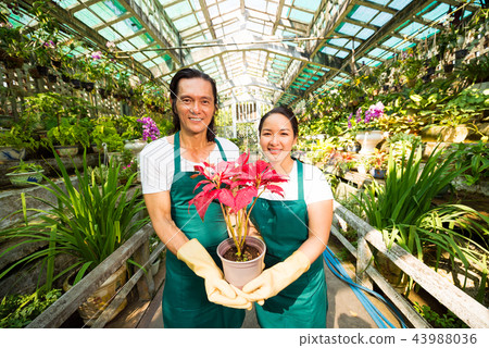 Flower market owners 43988036
