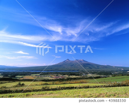 Taking pictures of the pasture of Onami Park Komagatake in Nanae Town, Hokkaido 43988330