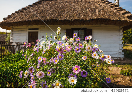 Old log house with thatched roof, Poland 43988471