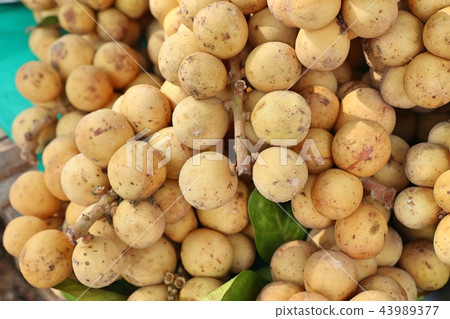 Wollongong fruit Wollongong fruit 43989377