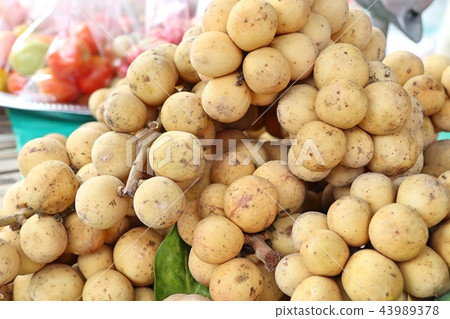 Wollongong fruit Wollongong fruit 43989378