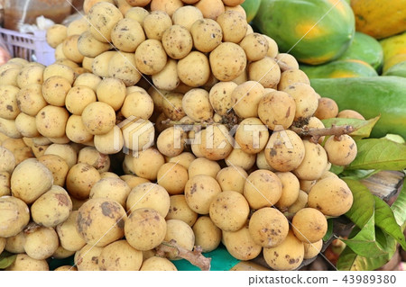 Wollongong fruit Wollongong fruit 43989380