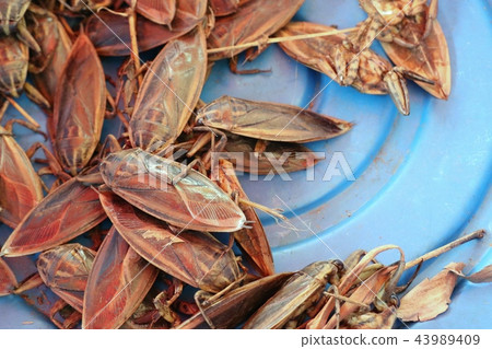 Pimps with very pungent smell at market 43989409