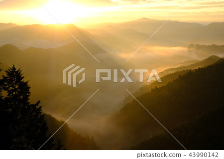 Nosakogawa-mura（奈良吉野郡Nosakogawa-mura）的雲海 43990142