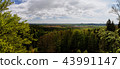 panorama view from rocks called Prachovske skaly 43991147