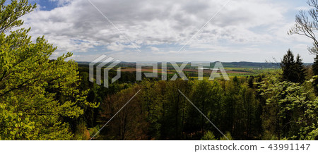 panorama view from rocks called Prachovske skaly 43991147