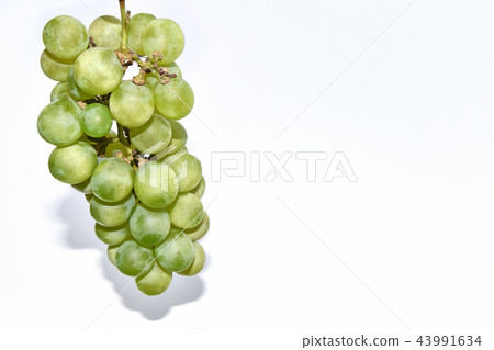 葡萄（尼亞加拉） 43991634