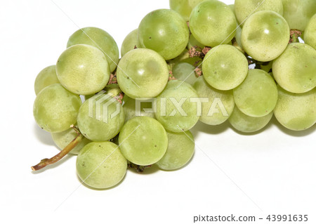 葡萄（尼亞加拉） 43991635