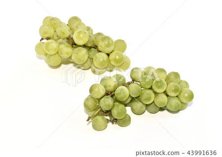 葡萄（尼亞加拉） 43991636