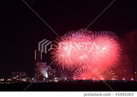 橫濱煙花 橫濱煙花 43992003