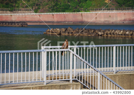 To take a break To take a break 43992800