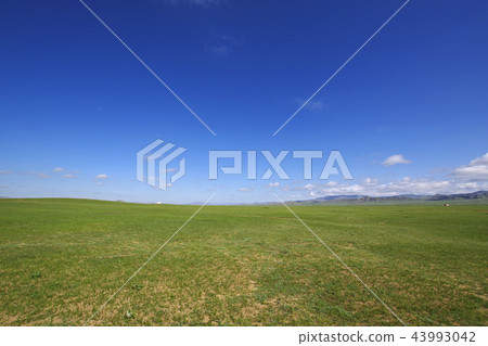 The Great Plains of Mongolia 43993042