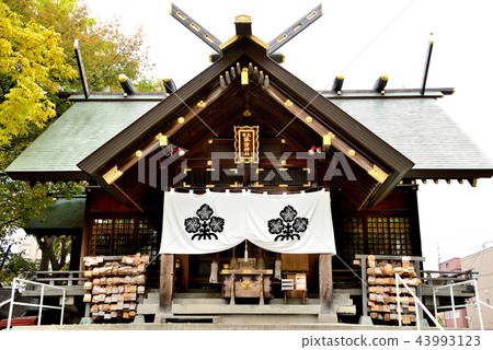 札幌Su訪神社靖國神社 43993123