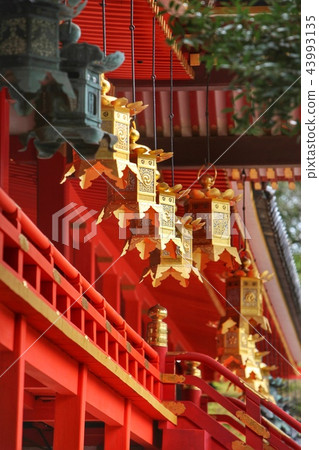 Iwashimizu Hachimangu Shrine Iwashimizu Hachimangu Shrine 43993135
