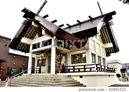 從札幌市的Naeho Shrine主殿對角 43993323