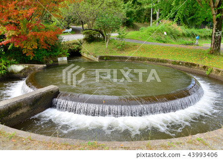 圓形流域熊本 43993406