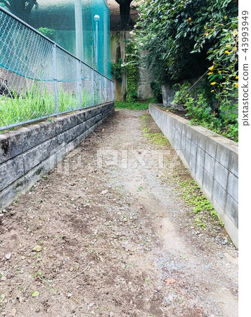 Unpaved road 43993949