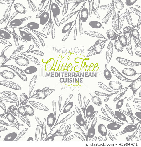 Olive Tree Banner Template Vector Vintage Stock Illustration