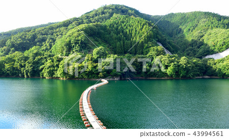 <奧多摩湖> Bareyama Ukihashi(鼓罐橋)(長寬比16:9)東京都西多士郡奧多山町 <奧多摩湖> Bareyama Ukihashi(鼓罐橋)(長寬比16:9)東京都西多士郡奧多山町 43994561