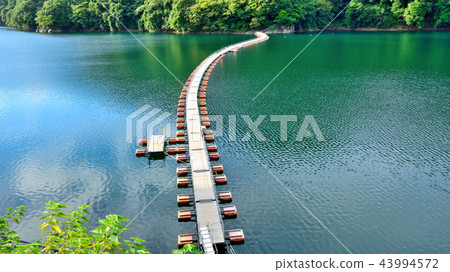 <Okutama Lake> Bareyama Ukihashi (drum can bridge) (aspect ratio 16: 9) Okutama-cho, Nishitama-gun, Tokyo <Okutama Lake> Bareyama Ukihashi (drum can bridge) (aspect ratio 16: 9) Okutama-cho, Nishitama-gun, Tokyo 43994572