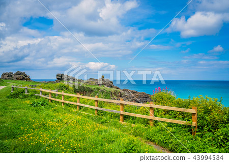 Wooden barrier on the Cornish coast Wooden barrier on the Cornish coast 43994584