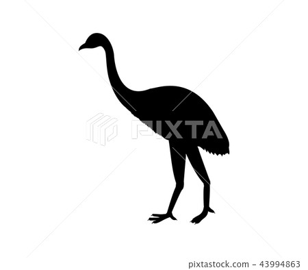 Dinornis Owen silhouette prehistoric bird extinct animal 43994863