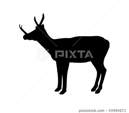 Synthetoceras silhouette extinct mammalian animal 43994871