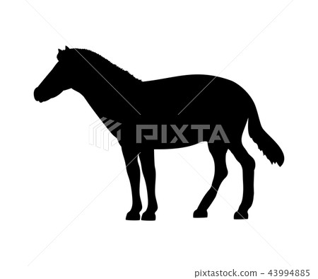 Horse silhouette extinct mammalian animal 43994885
