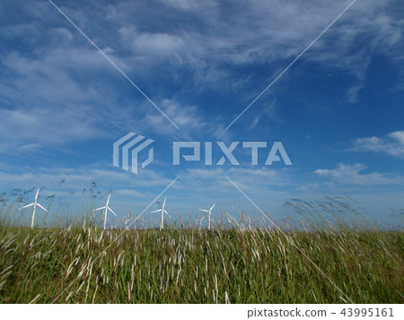 Windmill Windmill 43995161