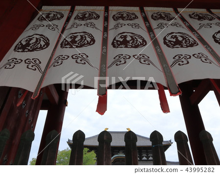 Nara Todaiji Temple 43995282