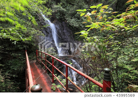 Yasaiyama Dreams Waterfall Yasaiyama Dreams Waterfall 43995569