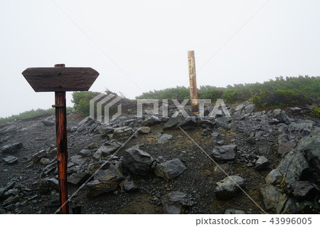 The top of the butterfly The top of the butterfly 43996005