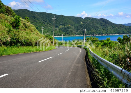 <奄美大島>道路風景09 43997359