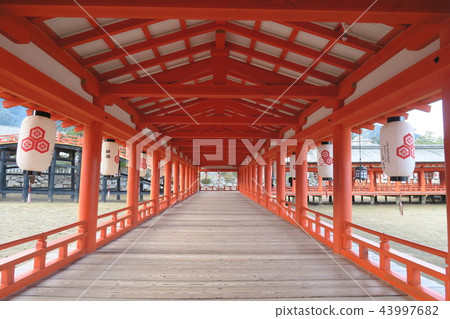 Miyajima Itsukushima shr Miyajima Itsukushima shr 43997682