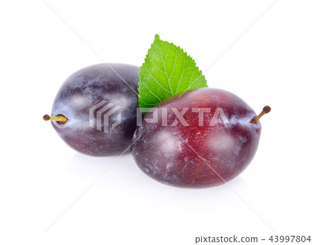 whole fresh prunes with leaf on white background 43997804
