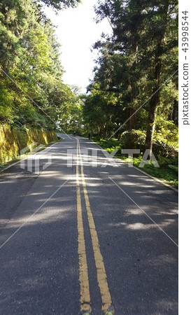 太平山 台灣 43998544