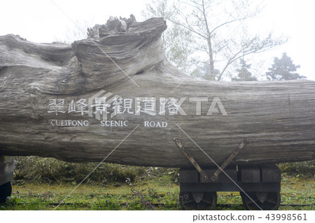 太平山 台灣 43998561