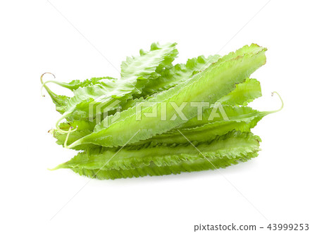 Winged bean isolated on white background. Winged bean isolated on white background. 43999253