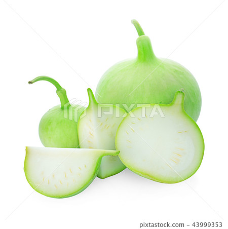 Lagenaria siceraria youg on white background Lagenaria siceraria youg on white background 43999353