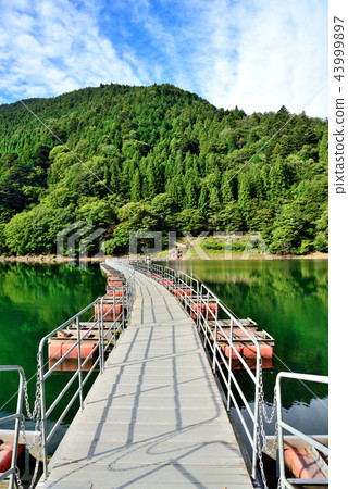 <Okutama Lake> Toruura Ukihashi(鼓罐橋)東京西多士郡Okutamacho <Okutama Lake> Toruura Ukihashi(鼓罐橋)東京西多士郡Okutamacho 43999897
