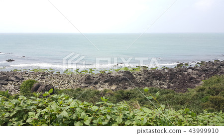 富貴角海岸 43999910