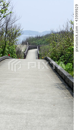 海濱步道 43999929