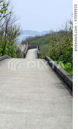 海濱步道 43999930